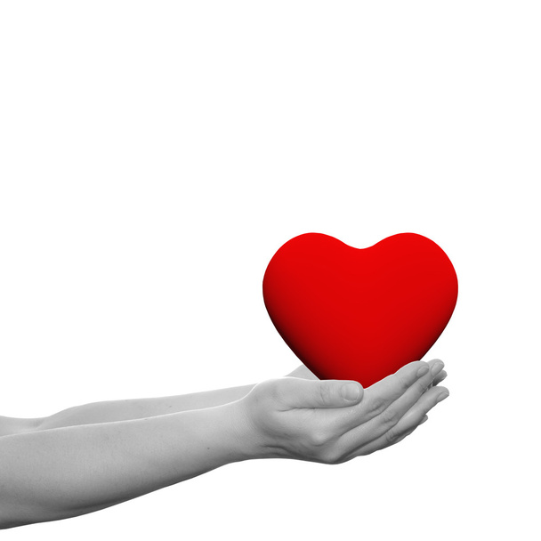  Сердце в руках человеческих
 - Фото, изображение