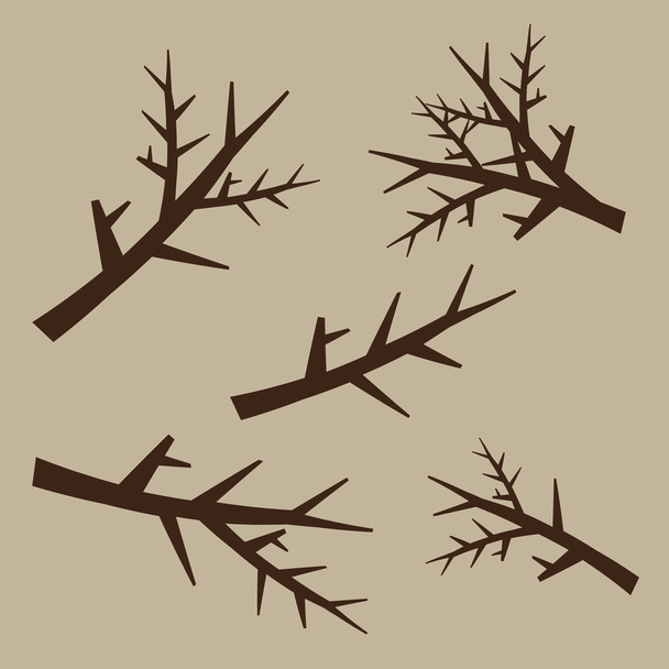 Tree branches set in hand drawn style. Silhouette plant, wood outline, twig decoration. - Vector, Image