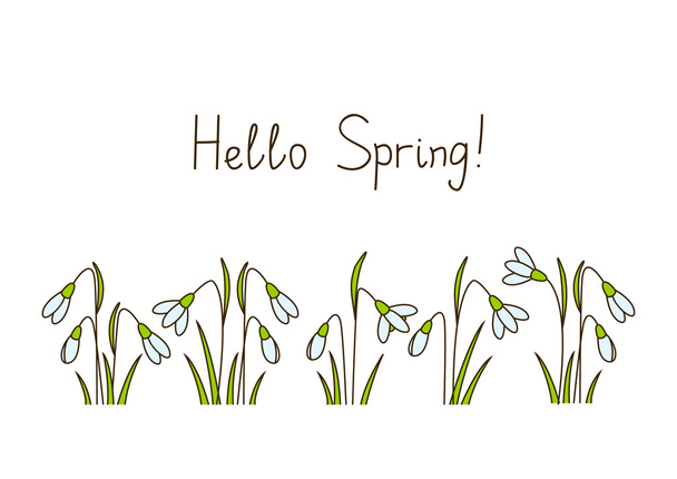 Hello Spring snowdrops  - Vector, Image