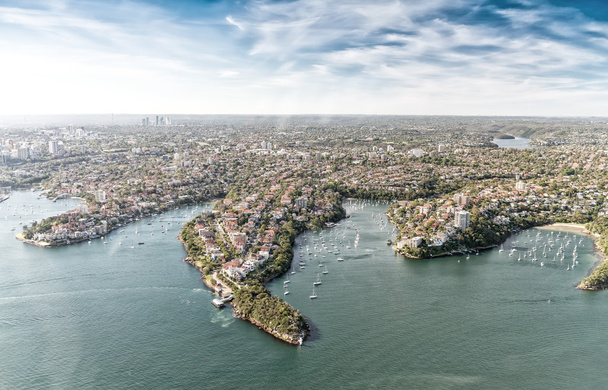 Sydney stad panorama - Foto, afbeelding
