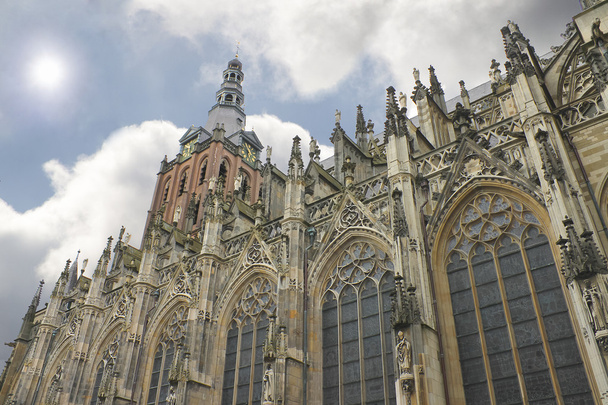 Cathedral in Den Bosch. Netherlands - Photo, Image