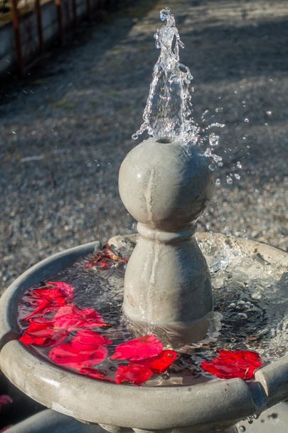 Fontaine aux pétales rouges
 - Photo, image