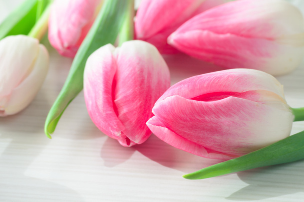 rosa Tulpenblüten - Foto, Bild
