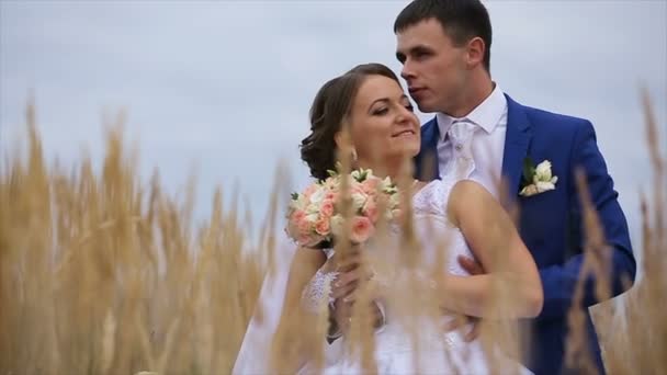 happy beautiful bride and groom on field - Footage, Video