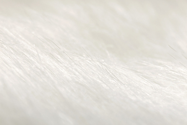 Αφηρημένα φόντο λευκό Faux γούνα του υφάσματος - Φωτογραφία, εικόνα