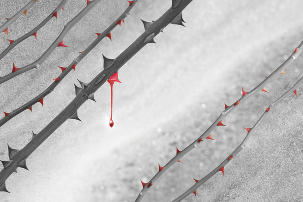 Падіння кольору червоних шипів
 - Фото, зображення