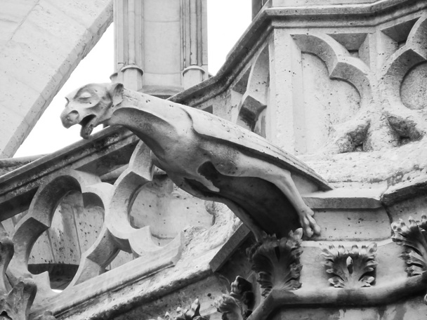 Gargoyle su un monumento gotico
 - Foto, immagini