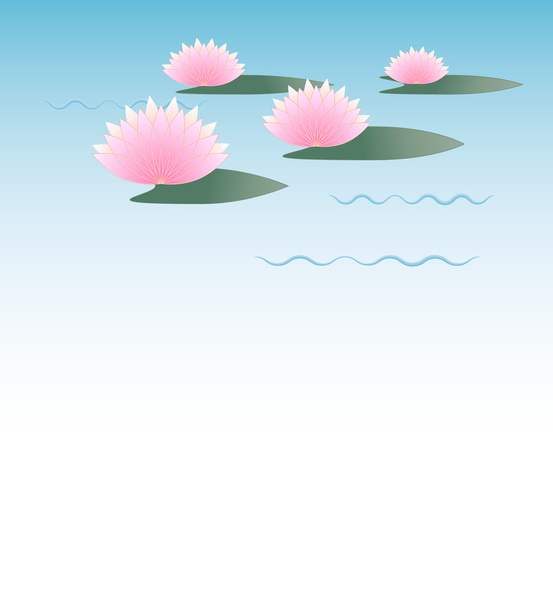 Розовые цветы лотоса на воде
 - Вектор,изображение