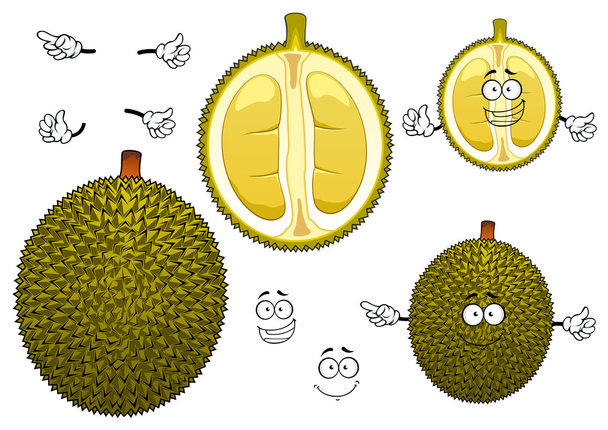 Thaise stinkende groene Durian fruit - Vector, afbeelding