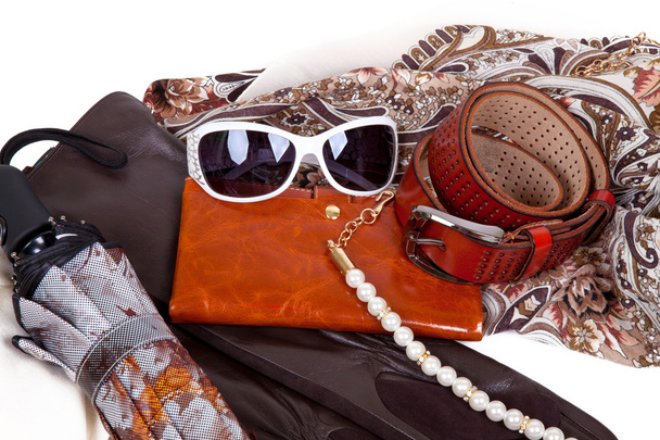 Accessori donna in pelle autunno. una borsa
 - Foto, immagini