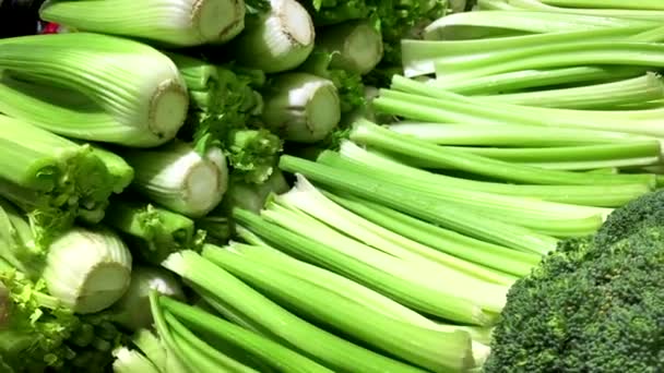 Woman selecting celery in grocery store - Footage, Video
