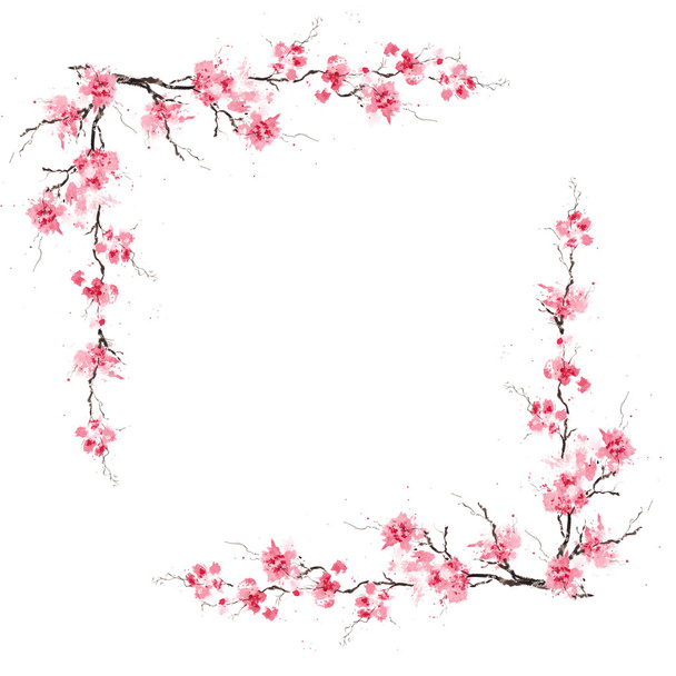 Border pattern with blossoming sakura - Фото, зображення