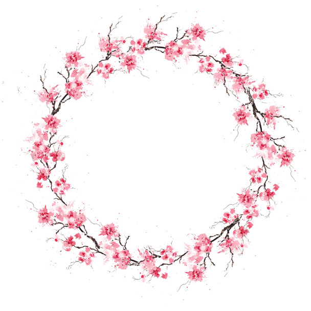 Wreath of blossoming sakura - Fotoğraf, Görsel