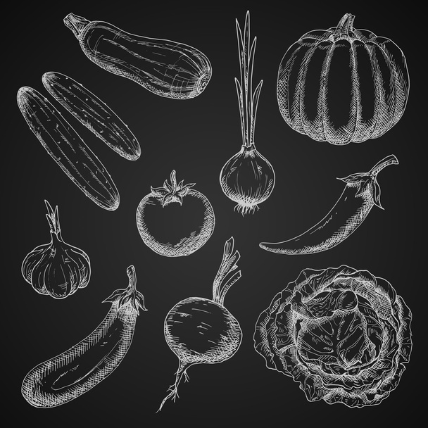 Świeżo oskubane warzywa wyizolowane szkice - Wektor, obraz