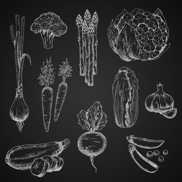 Calcetín bocetos de verduras en pizarra
 - Vector, Imagen