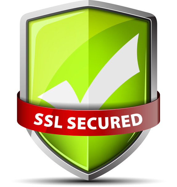 SSL güvenli kalkan - Vektör, Görsel