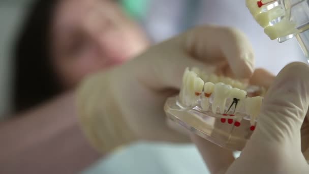 dentist showing jaw layout to patient woman - Materiał filmowy, wideo
