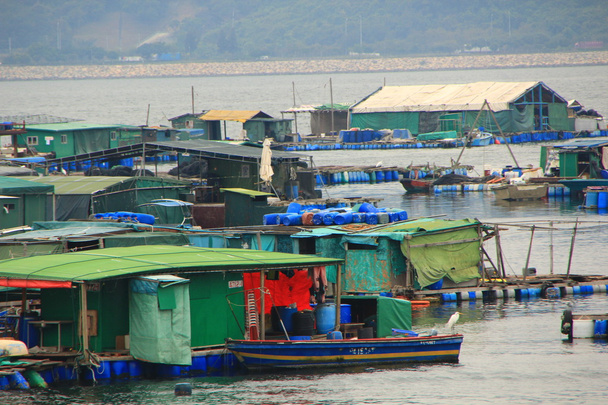Плавающая рыбацкая деревня в Гонконге
 - Фото, изображение