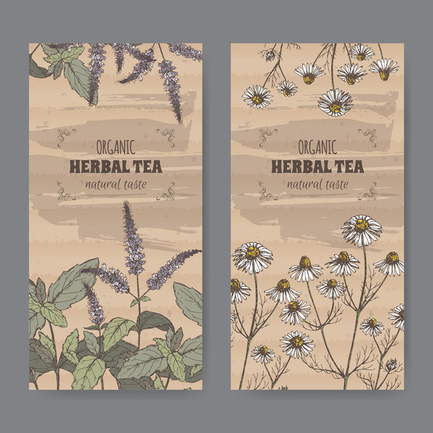 Two color vintage labels for peppermint and chamomile herbal tea. - ベクター画像