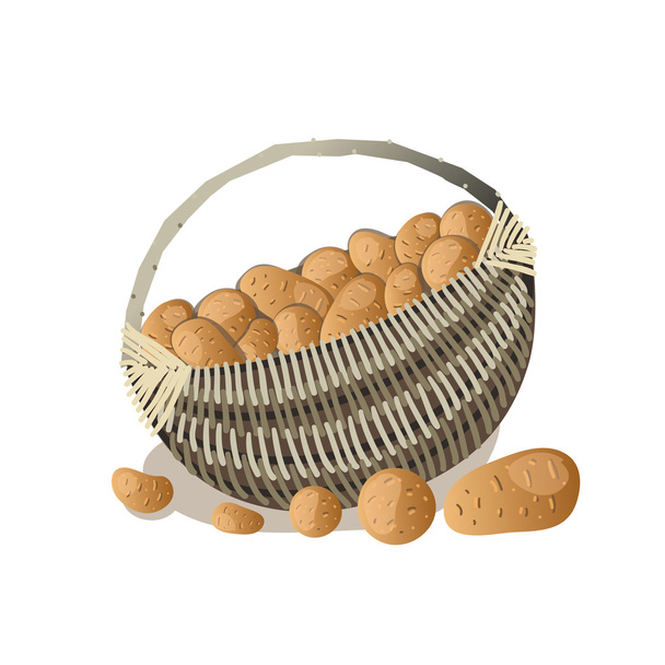  cesta llena de tubérculos de patatas
 - Vector, Imagen