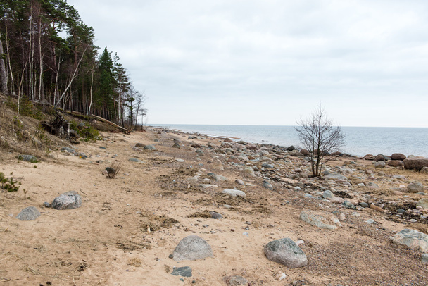 Podzimní pláže s vlny zřítilo na skalách - Fotografie, Obrázek