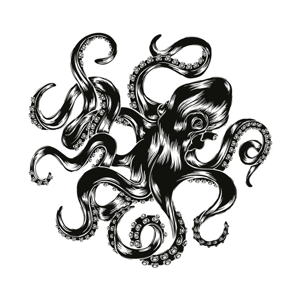 Векторная иллюстрация от осьминога. Гравированный векторный осьминог
  - Вектор,изображение