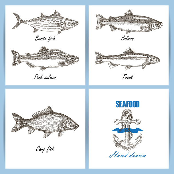 Design de tempero de frutos do mar. Conjunto de peixes vetoriais gravados. Fis desenhados à mão
 - Vetor, Imagem