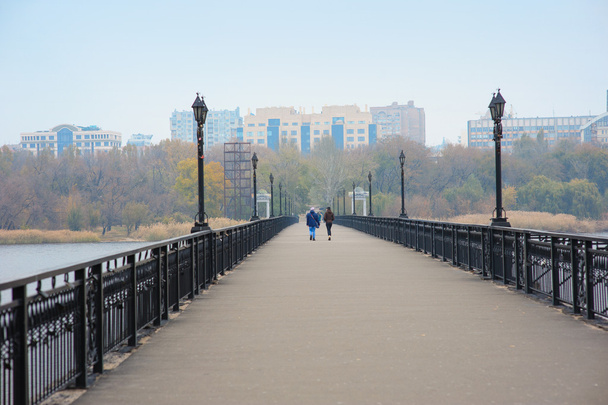 Brug met lantaarns langs de rivier op de achtergrond van de stad - Foto, afbeelding