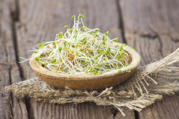 garden cress sprouts - Photo, Image