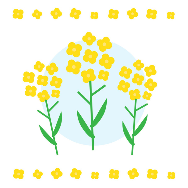 Canola flower vector illustration. Canola flower concept in flat style. Canola flowers symbols - Vector, Image