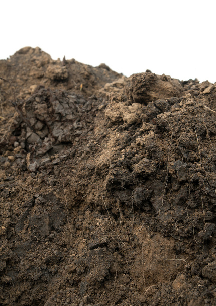 почва изолирована
 - Фото, изображение