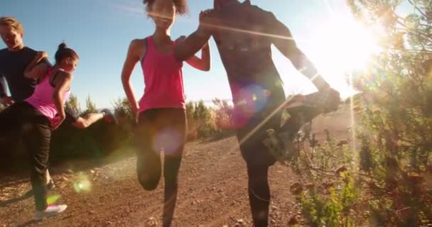 ζευγάρια ζέσταμα πριν από το τρέξιμο σε εξωτερικούς χώρους - Πλάνα, βίντεο