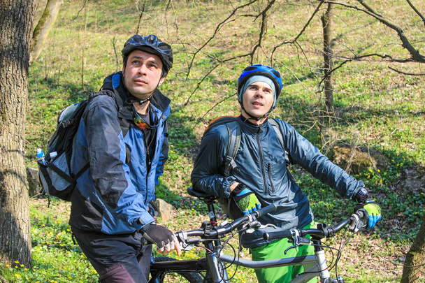 Mans riding through the woods on a mountain bike on a sunny day - Fotoğraf, Görsel