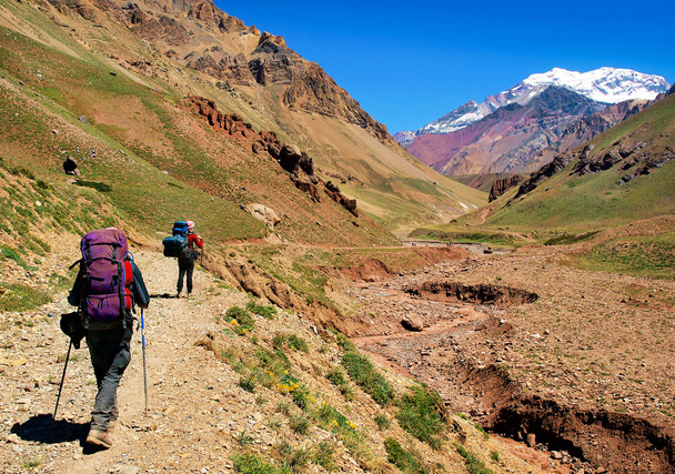 Trekking w Andów w Ameryce Południowej - Zdjęcie, obraz