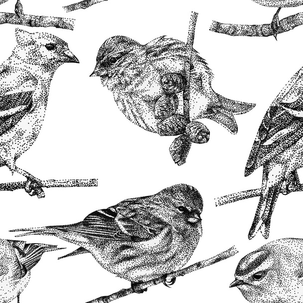 Seamless pattern with different birds drawn by hand with black ink - Photo, Image