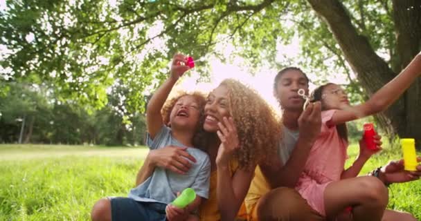familie hechting en blazen bubbels in park - Video