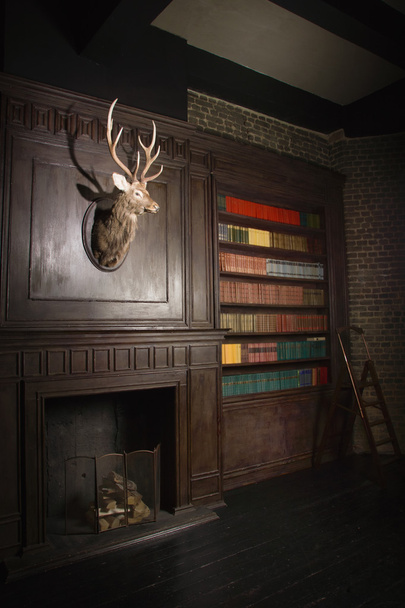 Классическая библиотека в викторианском стиле
  - Фото, изображение