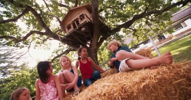 Kinderen liggend op hooibalen onder een houten treehouse - Video