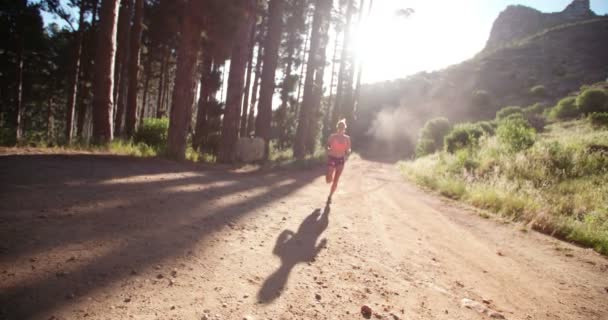 Läufer auf Naturlehrpfad legt Pause ein  - Filmmaterial, Video