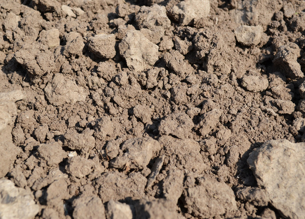 Глиняний ґрунт крупним планом
 - Фото, зображення