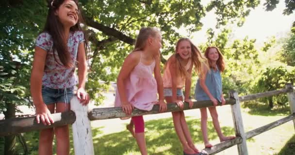 κορίτσια που στέκονται σε έναν ξύλινο φράκτη κάτω από δέντρο - Πλάνα, βίντεο