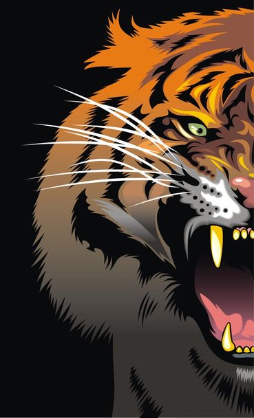 kleur tijger hoofd  - Vector, afbeelding