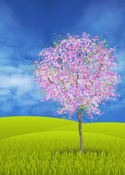 Manzano en flor - Foto, imagen