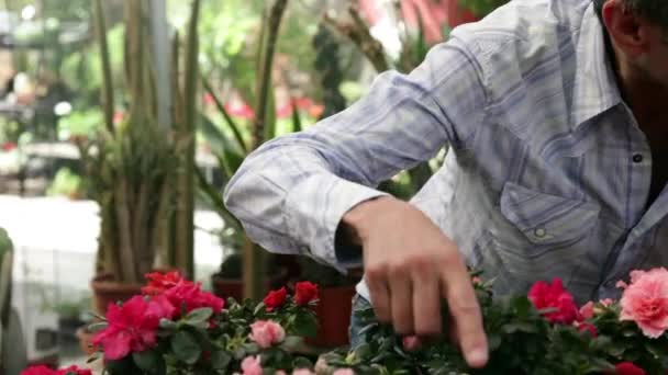 az ember gyermeke vásárol virágot - Felvétel, videó