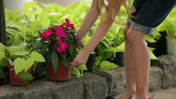 girl with woman buying plants - Filmagem, Vídeo