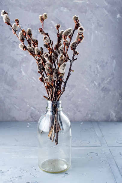 ガラスの花瓶の柳の枝 - 写真・画像