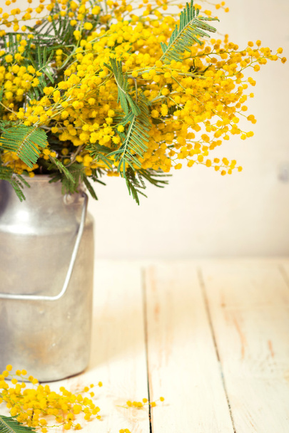 Mimosa flowers in a vintage metal milk can background - Photo, image