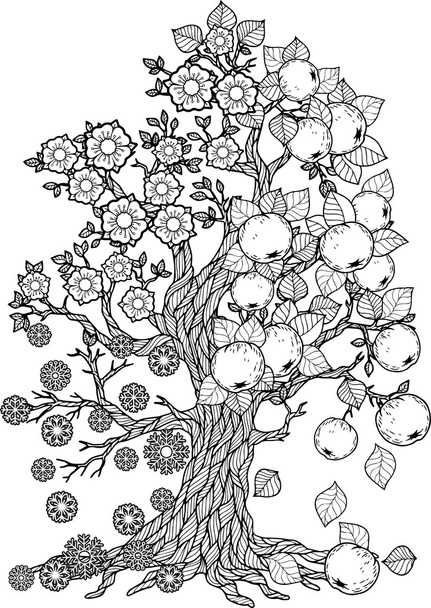 Coloring Book Tree seasons. - Vector, Image