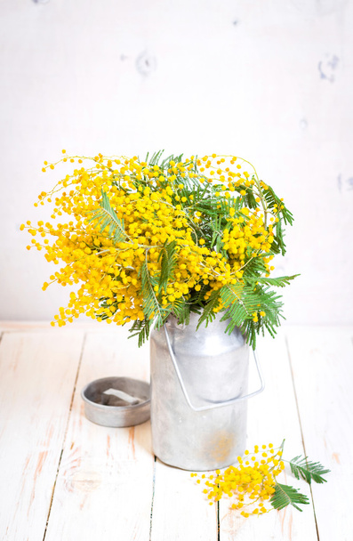 Bir vintage metal süt olabilir Mimoza çiçekleri - Fotoğraf, Görsel