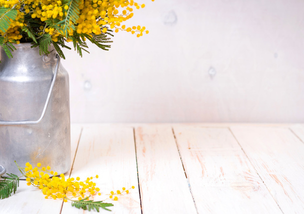 Bir vintage metal süt Mimoza çiçekler arka plan olabilir - Fotoğraf, Görsel